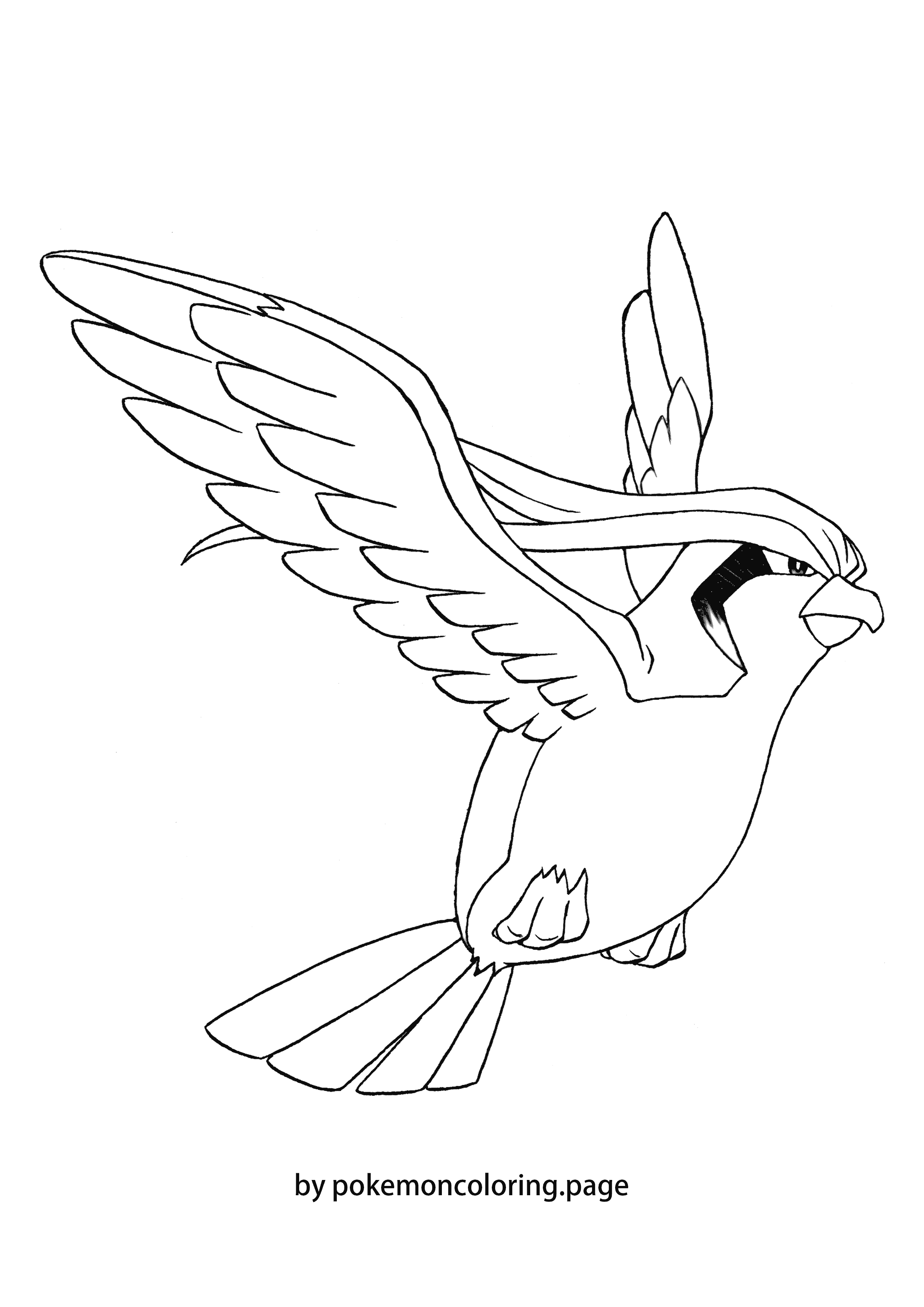 Pidgeot coloring page (#1)