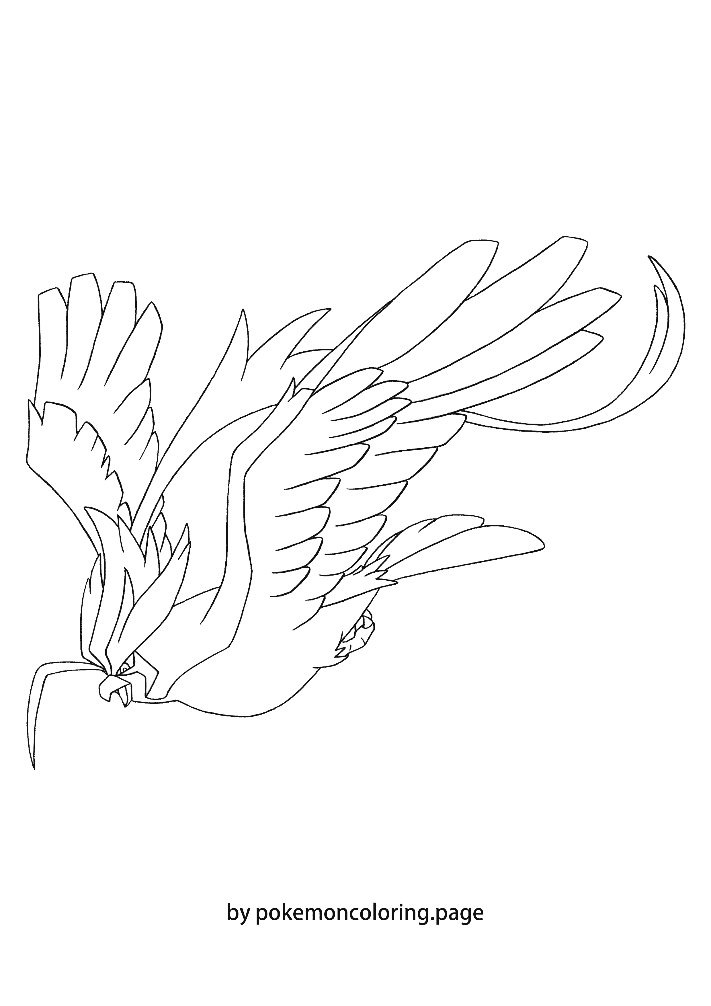 Pidgeot Mega coloring page (#1)